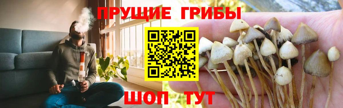 Псилоцибиновые грибы прущие грибы Борзя